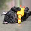 dog-with-rubber-chicken_sm.jpg