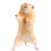 hamster-dancing_sm.jpg