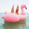 legs-on-flamingo_sm.jpg